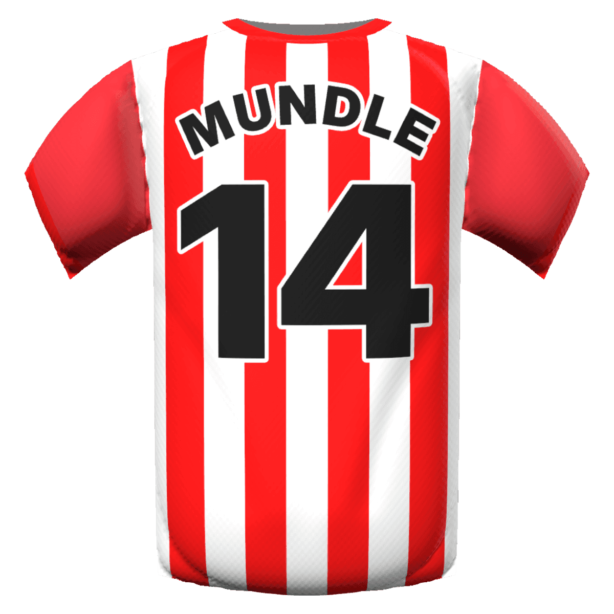Romaine Mundle's shirt